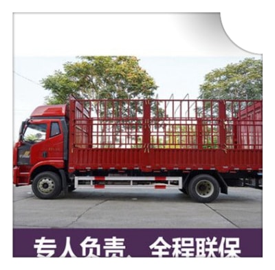 肇慶到貴溪市轎車(chē)托運(yùn)