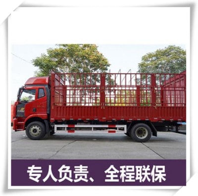 珠海到來賓貨運公司