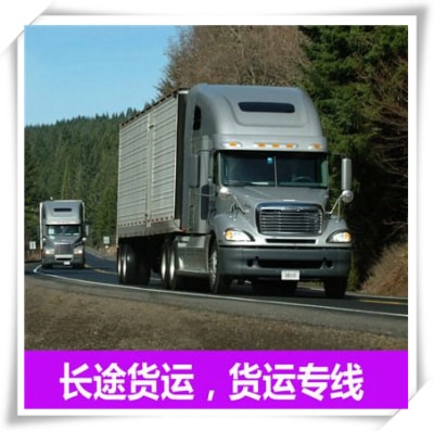 深圳到伊犁貨運公司