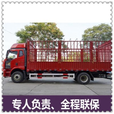 深圳到恩平市物流貨運直達專線-深圳到恩平貨運公司-運費價錢