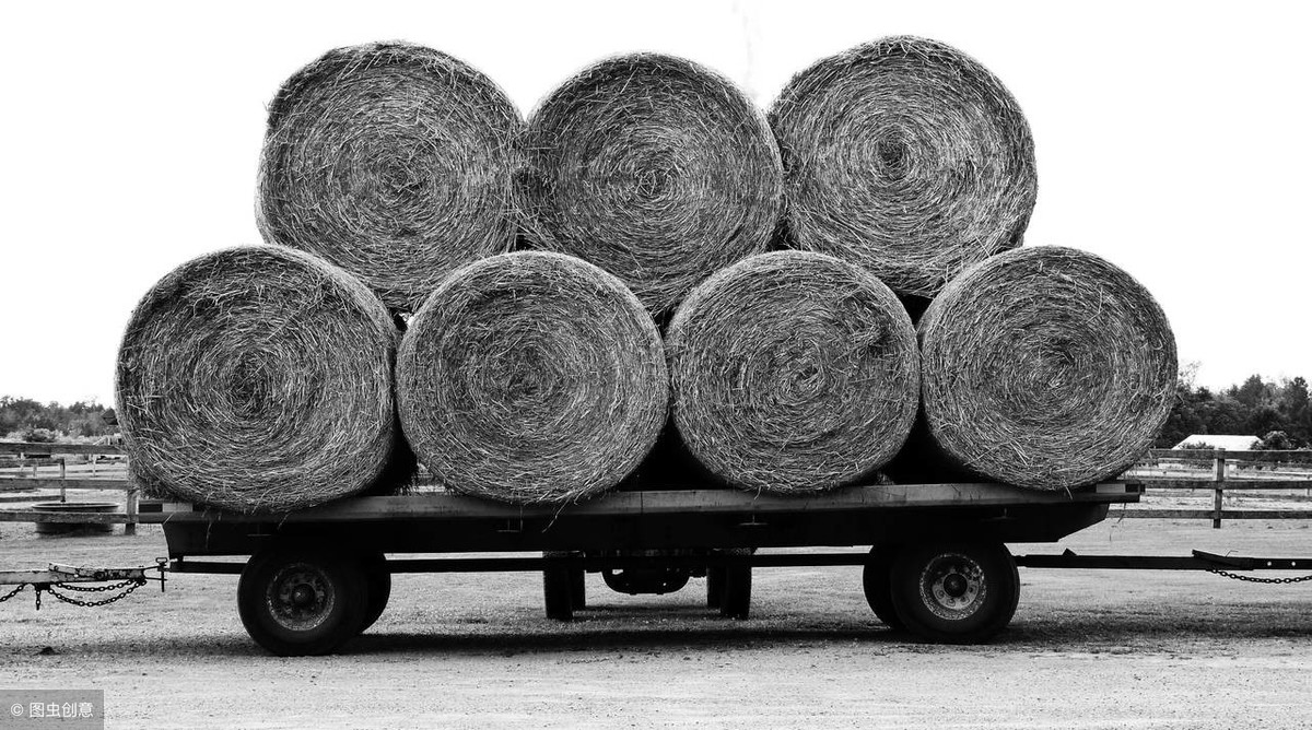 深圳到昌都大件貨運