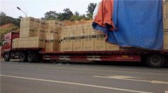 中山到西藏包車貨運價格，中山到西藏整車運輸公司