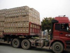 深圳到鶴壁物流專車哪家便宜包車物流哪家好